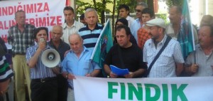 Fındık Üreticileri Örgütleniyor